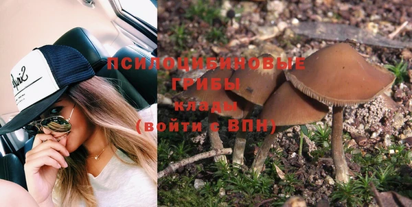 прущая мука Богородск