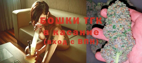 тгк Богородицк