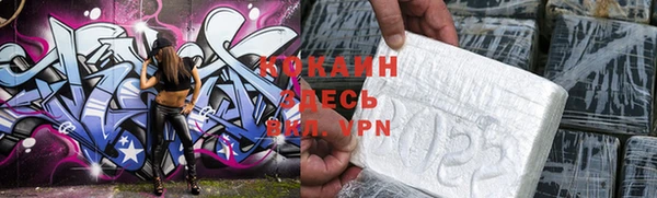 тгк Богородицк