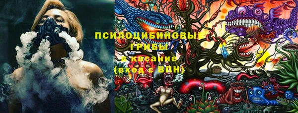 тгк Богородицк